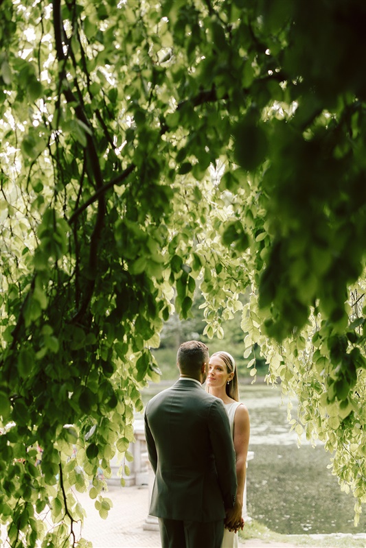 Bride and groom photos of bride looking lovingly at groom with leaves surrounding them.