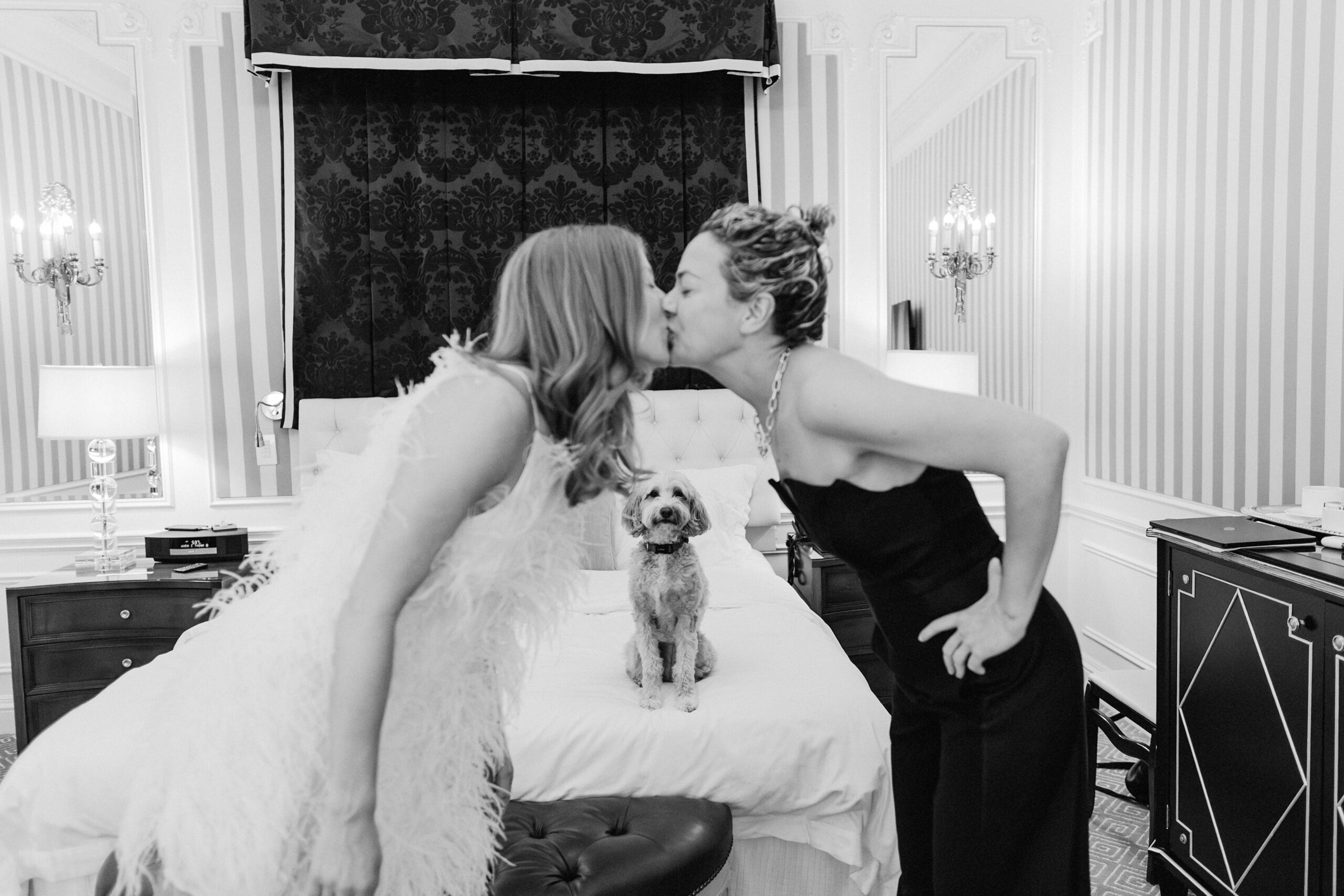 Photo of couple kissing in their hotel room with their dog in the background staring at them